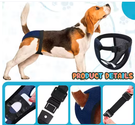 Pet Use Breathable Reusable Female Dogs Diapers with Absorption Cotton Pad for Dogs Puppy XL