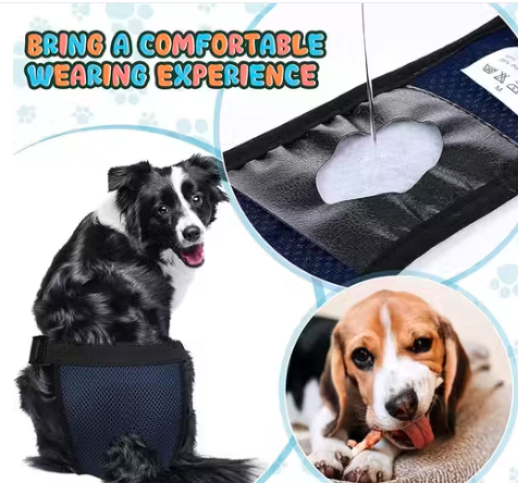 Pet Use Breathable Reusable Female Dogs Diapers with Absorption Cotton Pad for Dogs Puppy XL